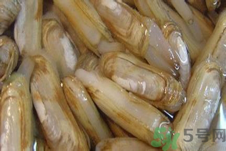 蟶子怎么洗？新鮮蟶子怎么挑選？