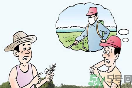 如何去除蔬菜上農(nóng)藥殘留？清洗農(nóng)藥小竅門(mén)有哪些？