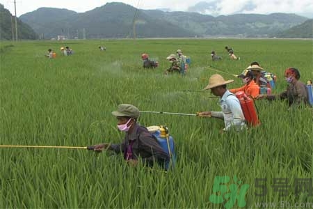 如何去除蔬菜上農(nóng)藥殘留？清洗農(nóng)藥小竅門(mén)有哪些？