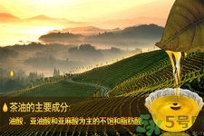 茶油是什么？茶油怎么吃？