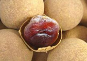 干桂圓吃多了會(huì)上火嗎？吃干桂圓上火怎么辦？