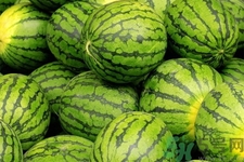 西瓜牛奶可以一起吃嗎？西瓜牛奶怎么做好吃？