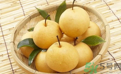娃娃梨是怎么種出來的？娃娃梨為什么外形像娃娃？