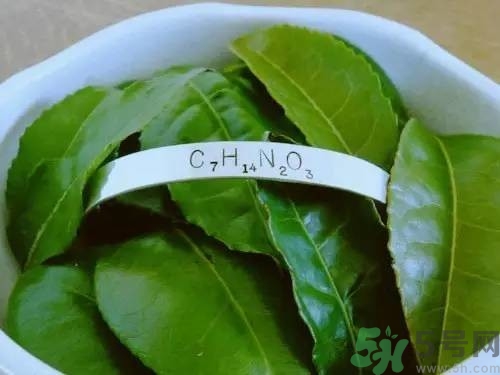 睡眠水為什么可以讓人入睡？可口可樂(lè)睡眠水有什么副作用？