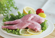 兔肉不能和什么一起吃？什么人不能吃兔肉？