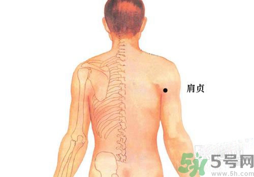 肩周炎艾灸有用嗎？肩周炎艾灸哪些部位？