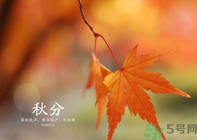秋分吃什么？秋分吃什么水果？