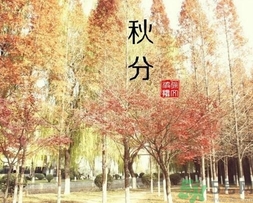 秋分吃什么？秋分吃什么水果？