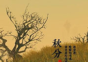 秋分吃什么？秋分吃什么水果？