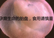 寶寶胎盤怎么處理比較好？?寶寶胎盤的功效與作用