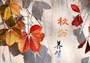 秋分喝什么茶？秋分養(yǎng)生茶飲推薦
