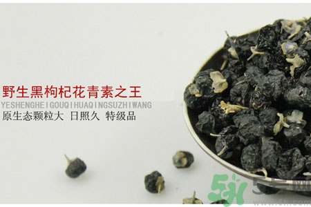 如何鑒別真假黑枸杞？黑枸杞價格多少？