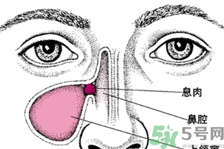 鼻子不通氣吃什么藥？鼻子不通氣的九個(gè)小妙招