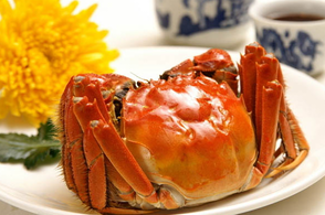 螃蟹什么季節(jié)最好吃？螃蟹幾月份吃最好？
