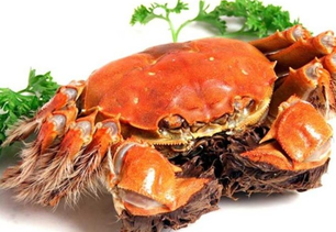 螃蟹什么季節(jié)最好吃？螃蟹幾月份吃最好？