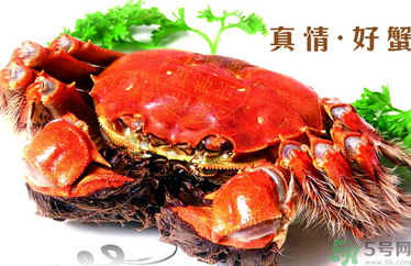 螃蟹什么時候吃最好？吃螃蟹的最佳時間 