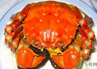 大閘蟹什么季節(jié)吃最好？吃大閘蟹的季節(jié)