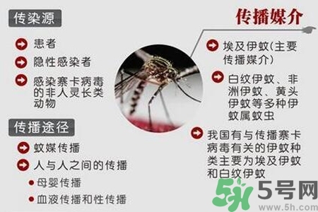 寨卡病毒會(huì)死人嗎？寨卡病毒會(huì)死嗎？