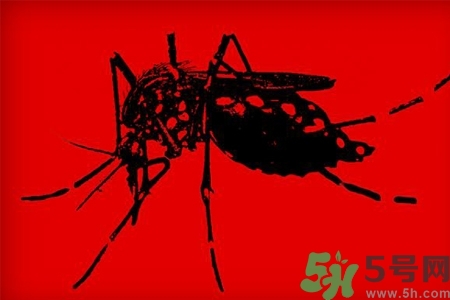 寨卡病毒會(huì)死人嗎？寨卡病毒會(huì)死嗎？