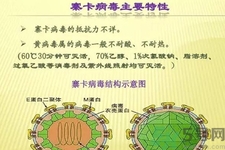 寨卡病毒對孕婦有危害嗎？寨卡病毒對孕婦的危害有哪些？