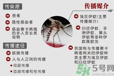 寨卡病毒對孕婦有危害嗎？寨卡病毒對孕婦的危害有哪些？