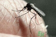 寨卡病毒對(duì)兒童的影響有哪些？寶寶如何避免及預(yù)防？