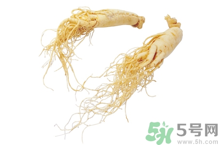 人參怎么吃效果最好？人參的做法大全