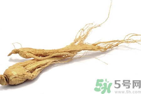 人參怎么吃效果最好？人參的做法大全