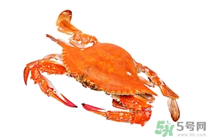 懷孕期間能吃螃蟹嗎？吃螃蟹會(huì)影響懷孕嗎？
