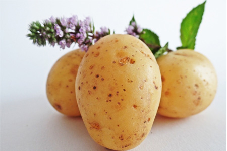 發(fā)芽的土豆怎么吃？土豆發(fā)芽了把芽削掉能吃嗎？