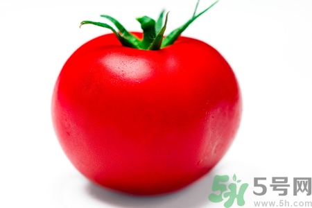 番茄和西紅柿有什么區(qū)別？番茄和西紅柿一樣嗎？