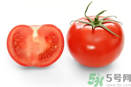 番茄和西紅柿有什么區(qū)別？番茄和西紅柿一樣嗎？