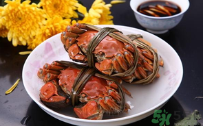 海蟹什么時候最肥？海蟹什么時候吃最好？