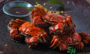 陽澄湖大閘蟹死了還能吃嗎？陽澄湖大閘蟹死了為什么不能吃？