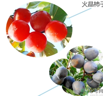 黑柿的營養(yǎng)價(jià)值及功效 黑柿怎么吃？