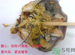 梭子蟹哪些部位不能吃？梭子蟹哪些人不能吃？