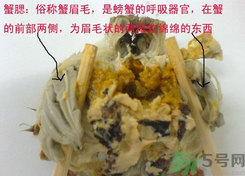 梭子蟹哪些部位不能吃？梭子蟹哪些人不能吃？