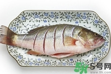 秋季適合吃什么魚？秋季吃魚的好處？