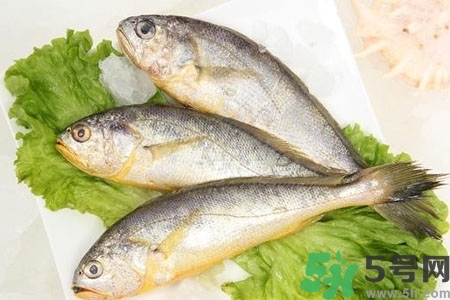 秋季適合吃什么魚？秋季吃魚的好處？