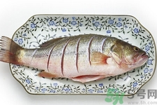 如何挑選新鮮魚？怎樣吃到不被污染的魚？