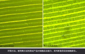 sk2大眼眼霜怎么樣？sk2大眼眼霜好用嗎？