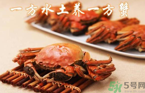 盤錦河蟹和陽澄湖大閘蟹的區(qū)別？盤錦河蟹和陽澄湖大閘蟹哪個比較好吃？