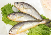 如何挑選新鮮魚？怎樣吃到不被污染的魚？