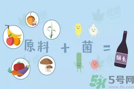 酵素什么時(shí)候吃最減肥？酵素減肥有用嗎？