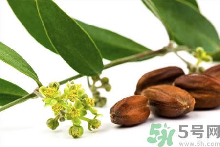 荷荷巴油可以直接擦臉嗎？荷荷巴油怎么去黑頭？