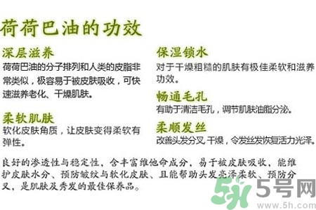 荷荷巴油可以直接擦臉嗎？荷荷巴油怎么去黑頭？