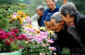 重陽(yáng)節(jié)是陰歷還是陽(yáng)歷？重陽(yáng)節(jié)是什么意思？