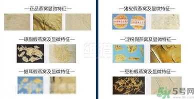 去香港買燕窩哪里好？香港哪里買燕窩比較好正宗？