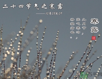 寒露是什么意思？寒露是幾月幾日
