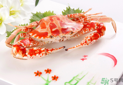 梭子蟹和花蟹的區(qū)別？梭子蟹和花蟹哪個(gè)好吃？